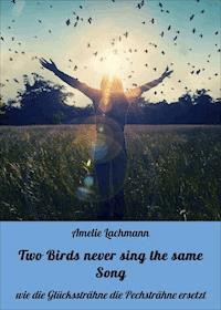 Two Birds never sing the same Song - Amelie Lachmann - ebook