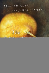 The Relational Soul - Richard Plass - ebook
