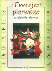 Twoje pierwsze angielskie słówka - Van Gool - ebook