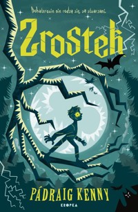 Zrostek - Kenny Pádraig - książka