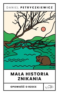 Mała historia znikania. Opowieść o Rzece - Petryczkiewicz Daniel - ebook + książka