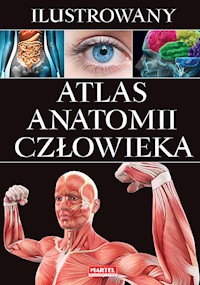 Ilustrowany atlas anatomii człowieka -  - książka