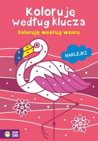 Koloruję według klucza Koloruję według wzoru -  - książka