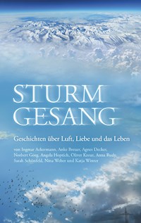 Sturmgesang - Angela Hoptich - ebook