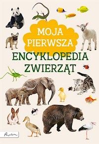 Moja pierwsza encyklopedia zwierząt - Kotecka Marta - książka