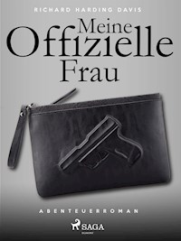 Meine offizielle Frau - Richard Henry Savage - ebook