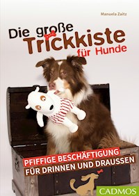 Die große Trickkiste für Hunde - Manuela Zaitz - ebook