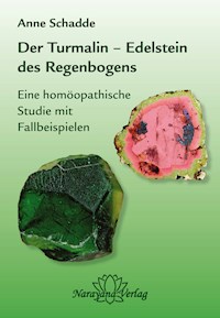 Turmalin - Edelstein des Regenbogens - Anne Schadde - ebook
