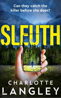 Sleuth - Charlotte Langley - ebook