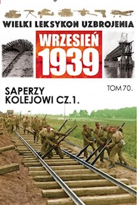 Saperzy kolejowi Część 1 - zbiorowa praca - książka