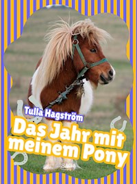 Das Jahr mit meinem Pony - Torbjörg Hagström - ebook