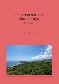 Im Schatten des Karamunga - Alvar Wenzel - ebook