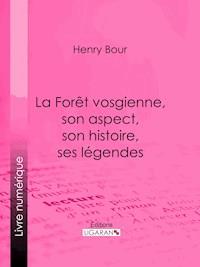 La Forêt vosgienne, son aspect, son histoire, ses légendes - Ligaran - ebook