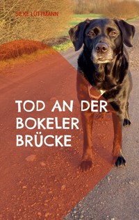 Tod an der Bokeler Brücke - Silke Lüttmann - ebook