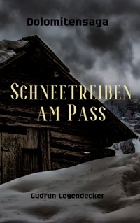 Schneetreiben am Pass - Gudrun Leyendecker - ebook