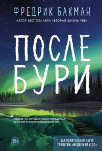 После бури - Фредрик Бакман - ebook
