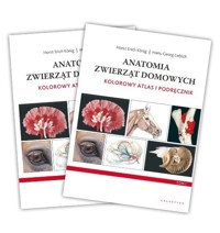 Anatomia zwierząt domowych. - Liebich Hans-Georg, König Horst Erich - książka
