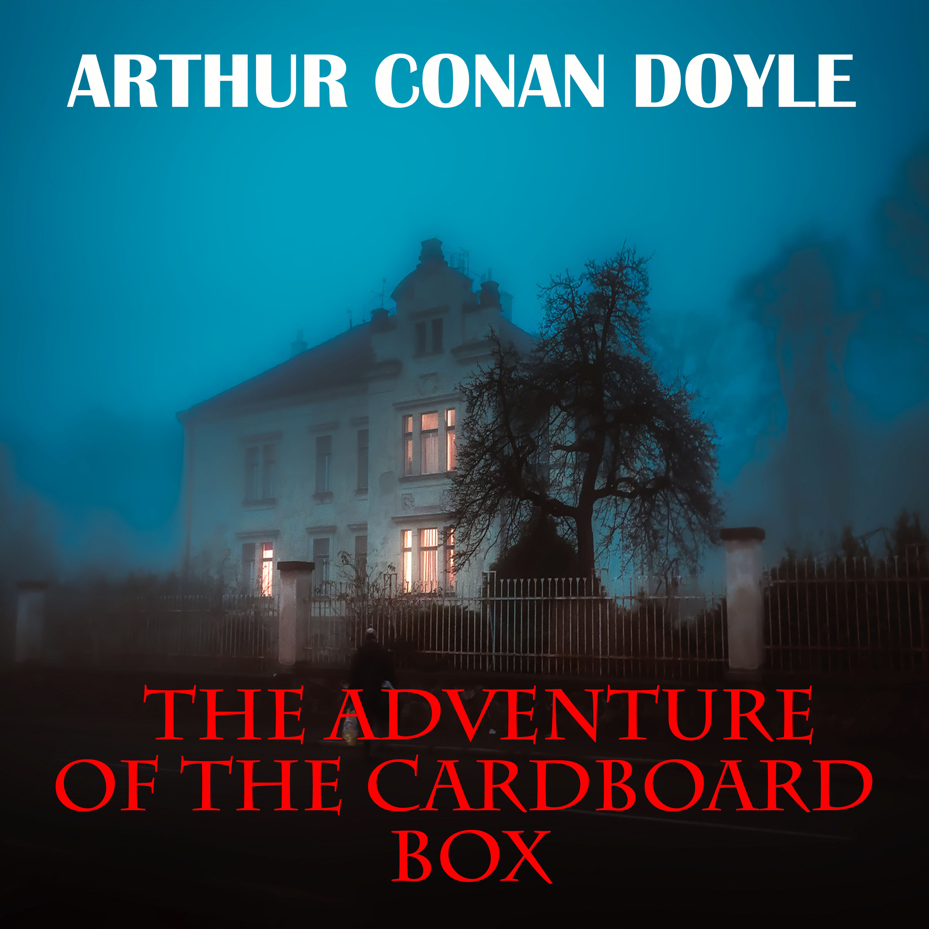 The Adventure of the Cardboard Box