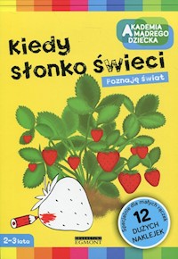 Kiedy słonko świeci Poznaję świat Akademia Mądrego Dziecka - - książka