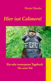 Hier isst Calimero! - Nicole Diercks - ebook