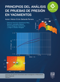 Principios de análisis de pruebas de yacimientos - Héctor Erick Gallardo Ferrera - ebook