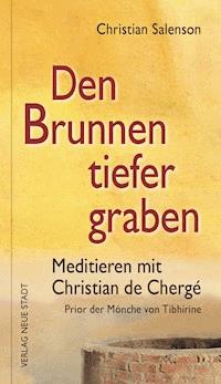 Den Brunnen tiefer graben - Christian Salenson - ebook