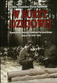 W burzy dziejowej - Burza-Karliński Stanisław - książka