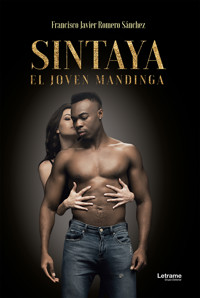 Sintaya, el joven mandinga - Francisco Javier Romero Sánchez - ebook