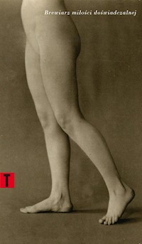 Brewiarz miłości doświadczalnej - Guyot Jules - książka