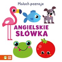 Maluch poznaje. Angielskie słówka - zbiorowa praca - książka