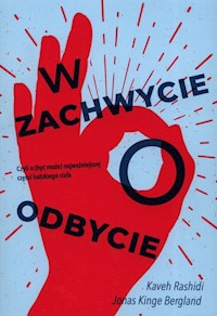 W zachwycie o odbycie - Bergland Jonas Kinge, Rashidi Kaveh - książka