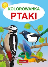 Kolorowanka Ptaki - Jarosław Żukowski - książka