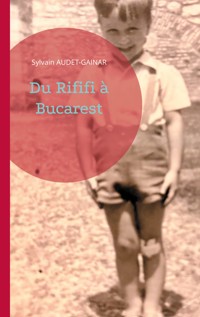 Du Rififi à Bucarest - Sylvain Audet-Gainar - ebook