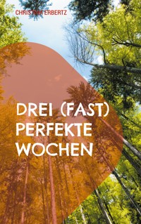 Drei (fast) perfekte Wochen - Christina Erbertz - ebook