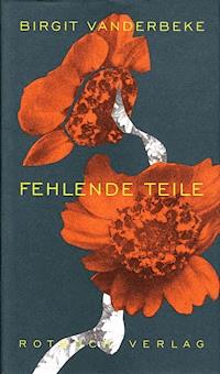 Fehlende Teile - Birgit Vanderbeke - ebook