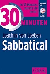 30 Minuten Sabbatical - Joachim von Loeben - ebook
