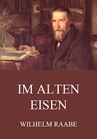 Im alten Eisen - Wilhelm  Raabe - ebook