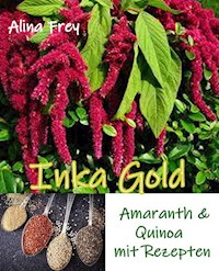 Inka Gold - Alina Frey - ebook