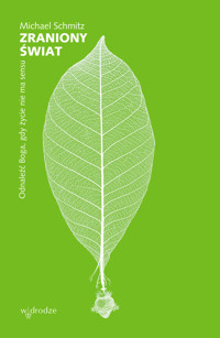 Zraniony świat. Odnaleźć Boga, gdy życie nie ma sensu - Schmitz Michael - ebook