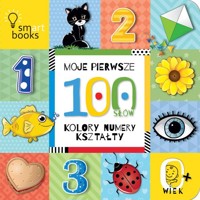 Moje pierwsze 100 słów Kolory, numery, kształty -  - książka