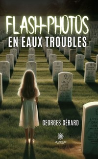 Flash-photos en eaux troubles - Georges Gérard - ebook