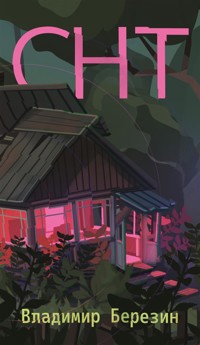 СНТ - Владимир Березин - ebook