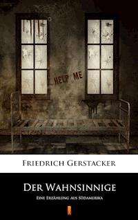 Der Wahnsinnige. Eine Erzählung aus Südamerika - Friedrich Gerstäcker - ebook