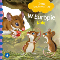 W Europie Pole - Ewa Stadtmüller - książka