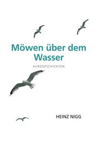 Möwen über dem Wasser - Heinz Nigg - ebook