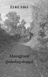 Mausgraue Gedankenschnipsel - Elke Eike - ebook