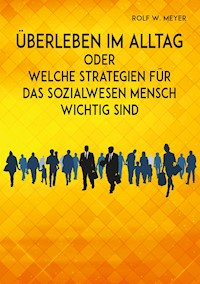 Überleben im Alltag - Rolf W. Meyer - ebook