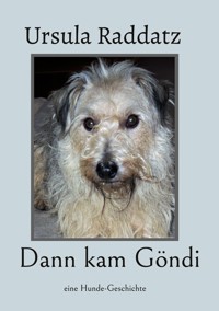 Dann kam Göndi - Ursula Raddatz - ebook