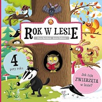 Rok w lesie - Bartíková Petra, Žabková Aneta - książka