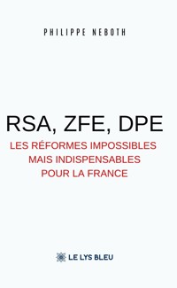 RSA, ZFE, DPE - Philippe Neboth - ebook